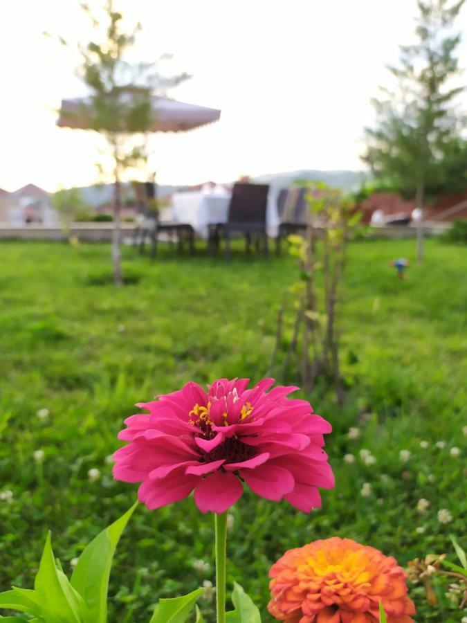Bliss Inn Boutique Hotel Gabala Exteriér fotografie
